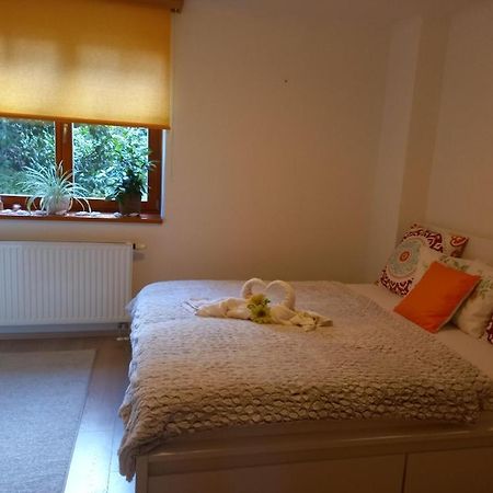 Vila Apartman U Prehrady Apartment Jablonec nad Nisou Luaran gambar